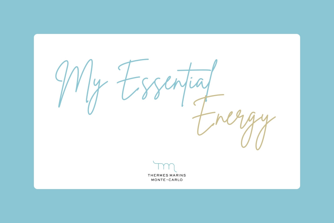 Journée My Essential Energy